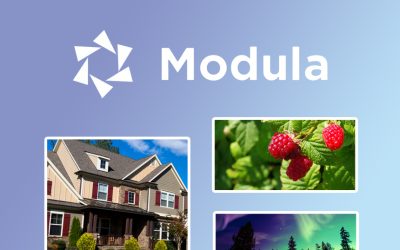 Modula Gallery for your Custom Grid Gallery